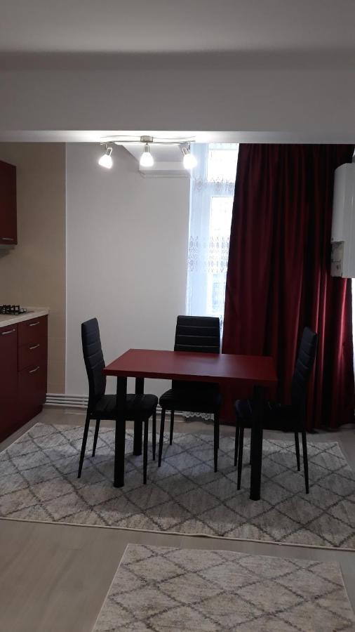 Irvin Apartament Iasi Exterior photo